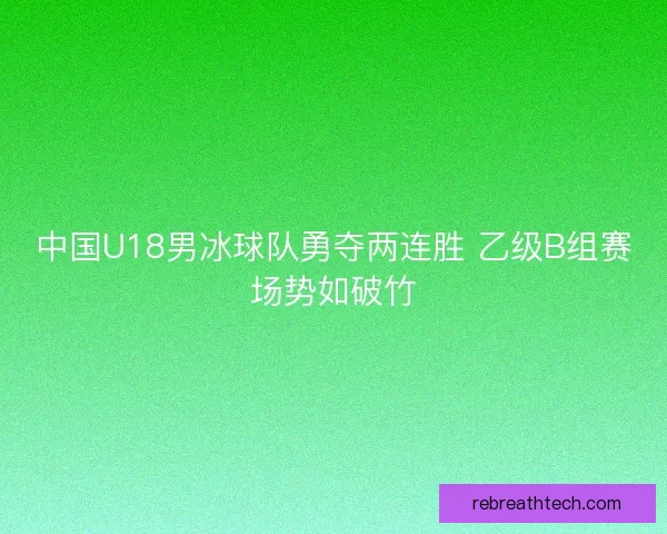 中国U18男冰球队勇夺两连胜 乙级B组赛场势如破竹